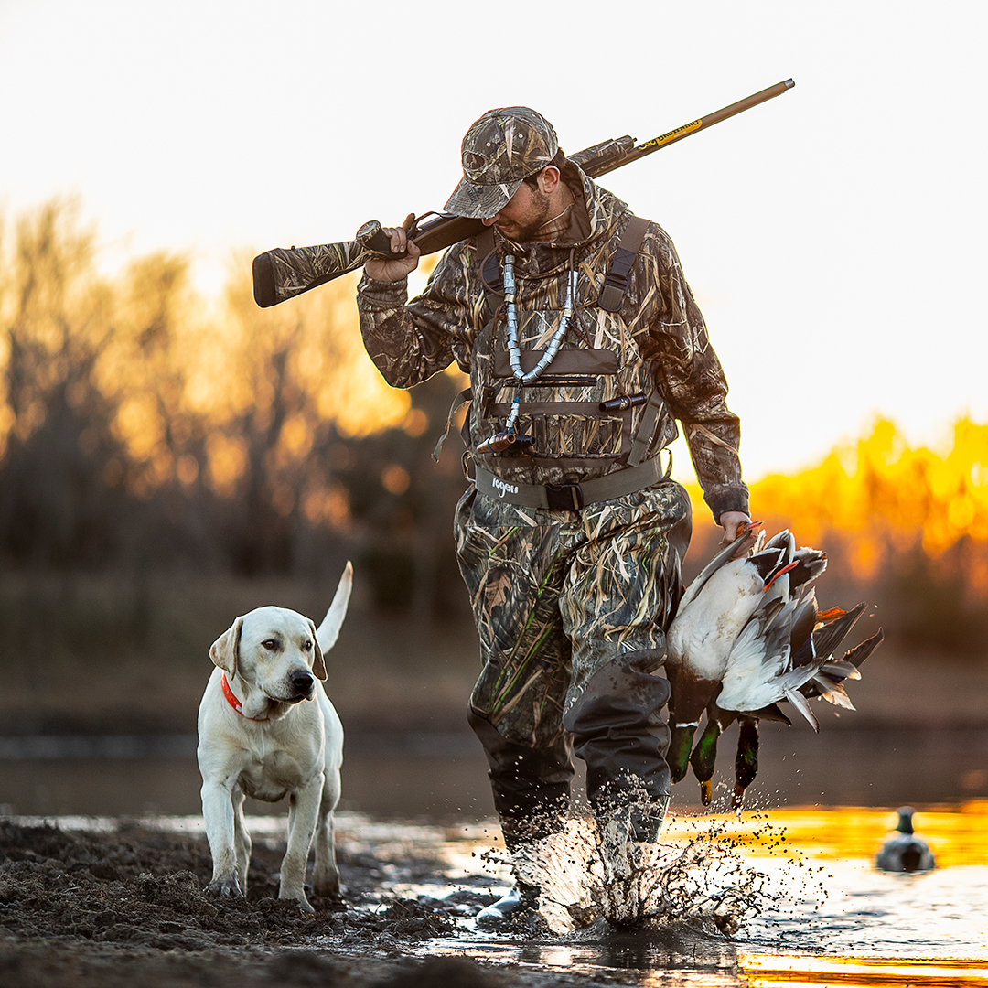 Waterfowl hunter with game and dogs